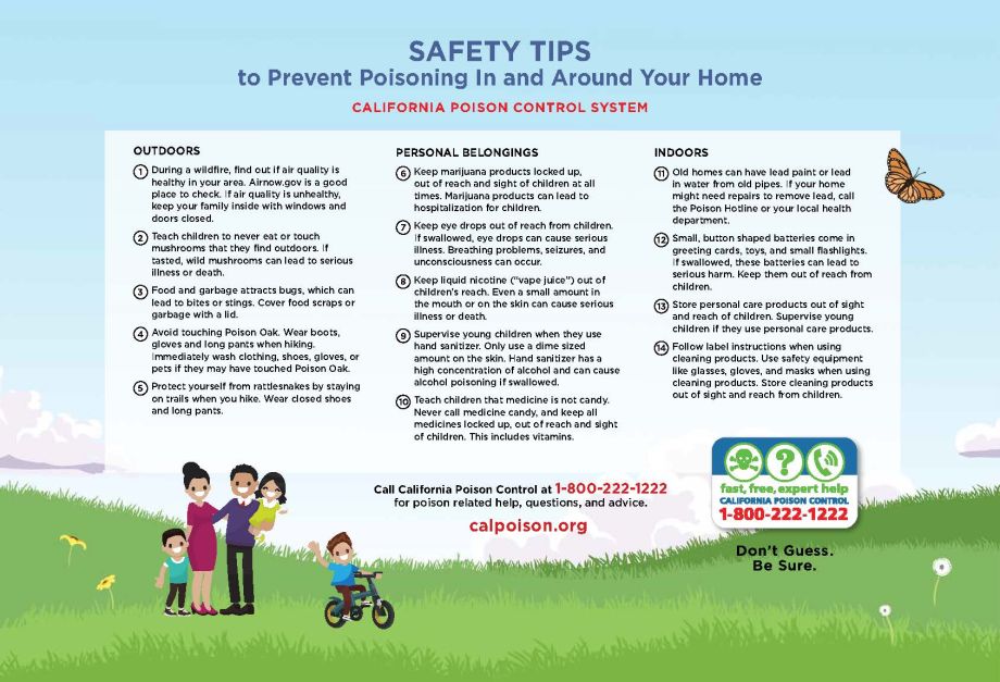 Screenshot of the reverse cover of the poster with safety tips.